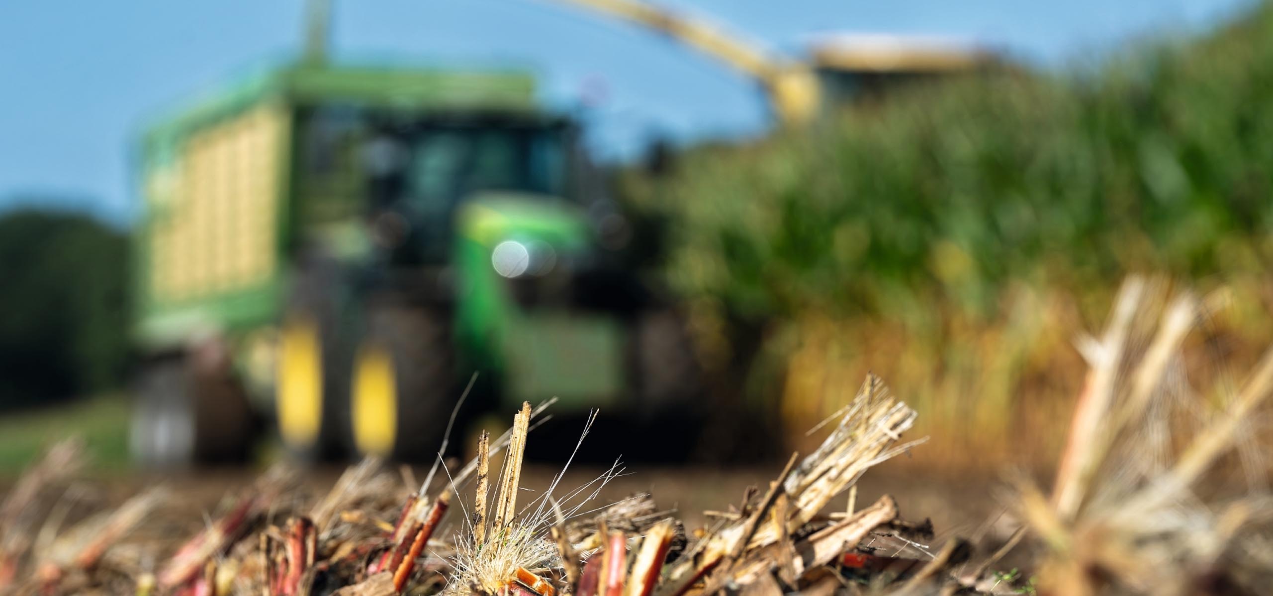 Feldhaecksler Slider Image 1